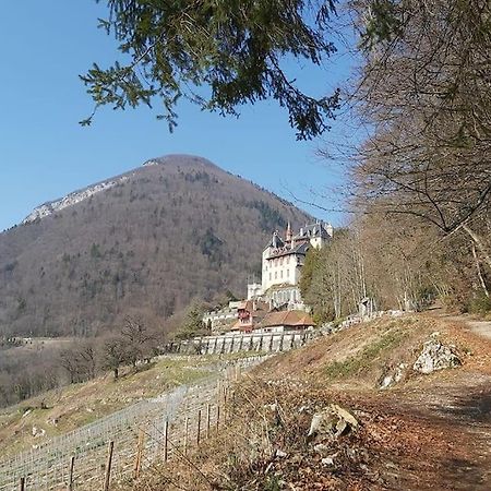Charmant Appartement Lac D'Annecy / Ski - 6 Pers Menthon-Saint-Bernard Exterior foto