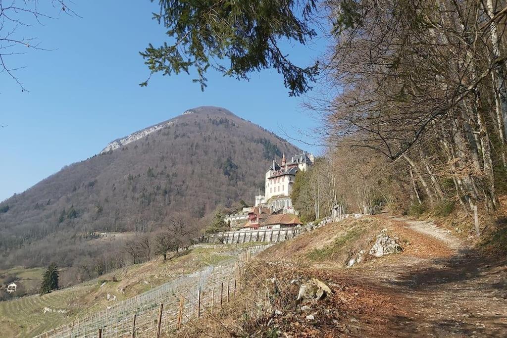 Charmant Appartement Lac D'Annecy / Ski - 6 Pers Menthon-Saint-Bernard Exterior foto